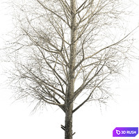 thumb image