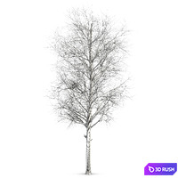 thumb image
