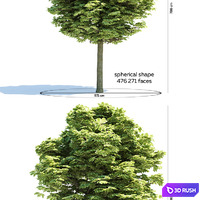 thumb image