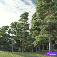 thumb image