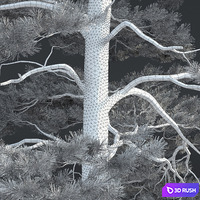 thumb image