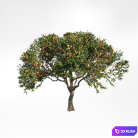 Peach tree 2