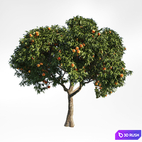 Peach tree 8