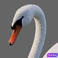 thumb image
