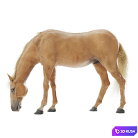 Grazing horse
