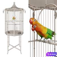 Cage with lovebirds