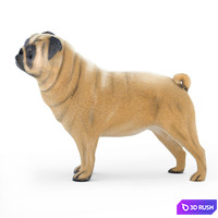 thumb image