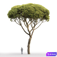 thumb image