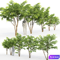 thumb image