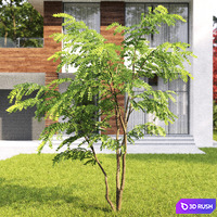 thumb image