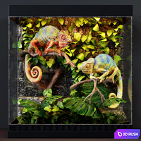Terrarium