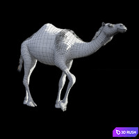 thumb image