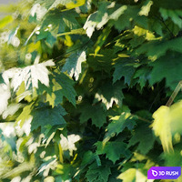 thumb image