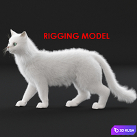 White cat (rig)