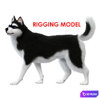 Dog (rig)