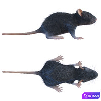 thumb image