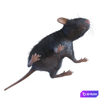 thumb image