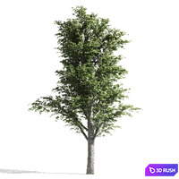thumb image