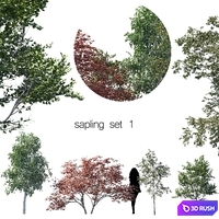 Sapling set 1