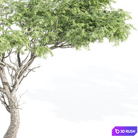 thumb image