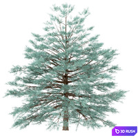 thumb image