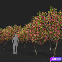 thumb image