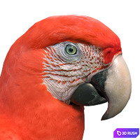 thumb image