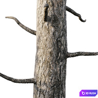 thumb image