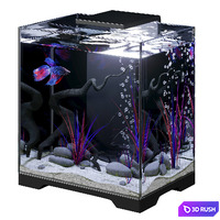 Aquarium with Siamese fighting fish (cockerel)