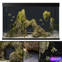 Aquarium with rocks and moss