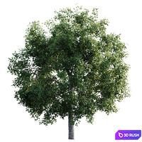 thumb image