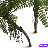 thumb image