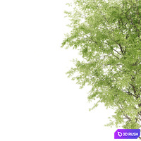 thumb image