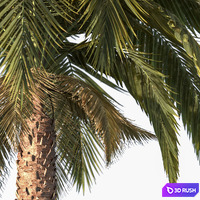 thumb image