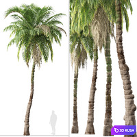 thumb image