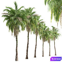 thumb image