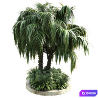 Collection Outdoor plant 39 in garden pot tree palm bush fern concrete dirt old vase