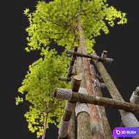 thumb image