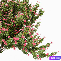 thumb image