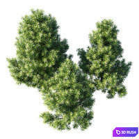 thumb image