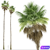 thumb image