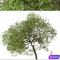 thumb image