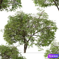 thumb image