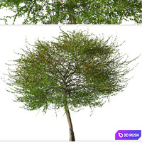 thumb image