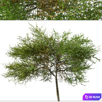 thumb image