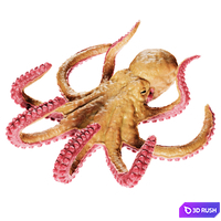 Octopus