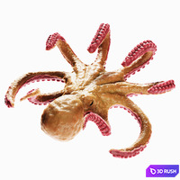 thumb image