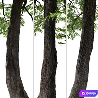 thumb image