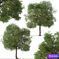 thumb image