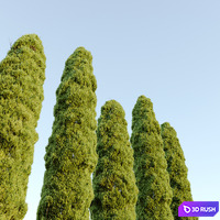 thumb image